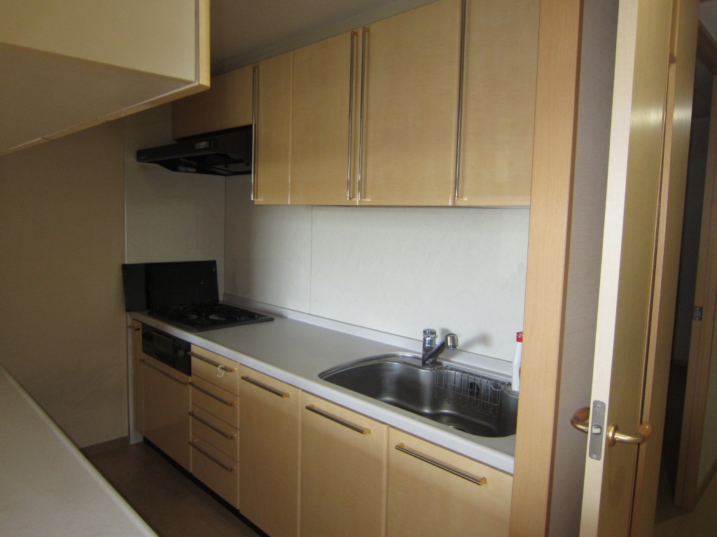 東急ドエル (27)